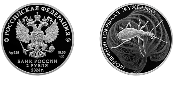 Морщинистокрылая жужелица (5110-0187)