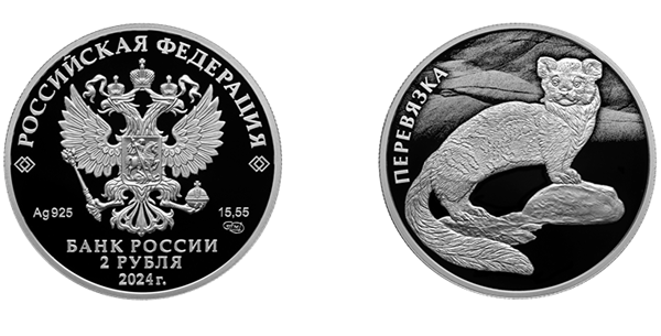 Перевязка (5110-0186)